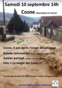 Sortie "Cosne, 4 ans après le glissement de terrain. Film "La magie des haies" @ Cosne, hameau de Quemigny-sur-Seine 21510